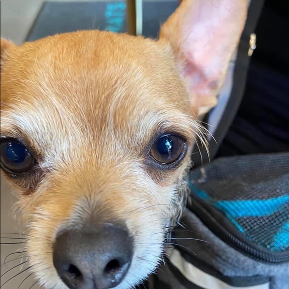 Meet your Posher, Deborah - Picture 1 of 1